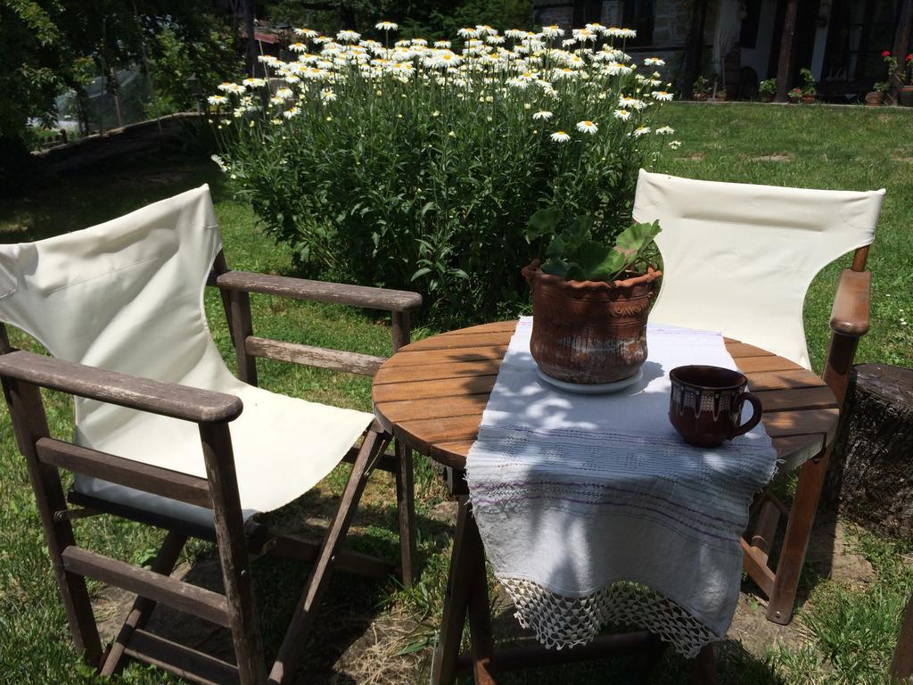 Stefanina Guesthouse Bozsenci Kültér fotó