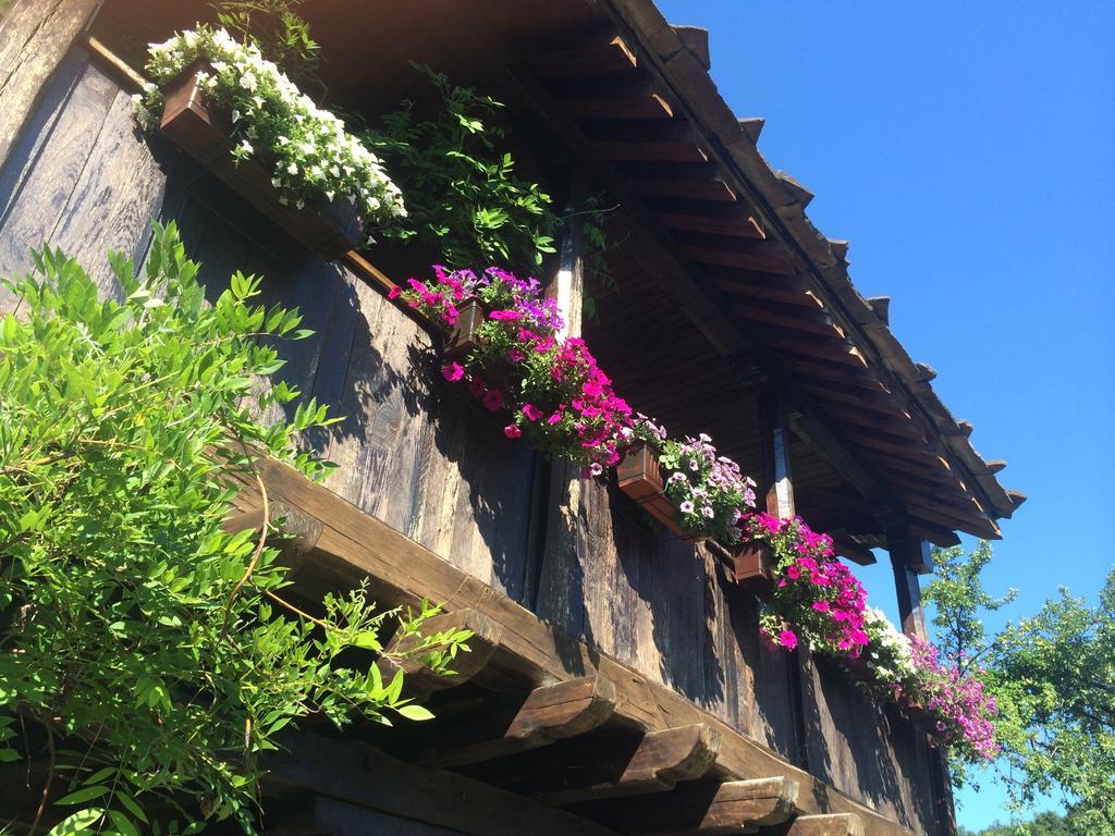 Stefanina Guesthouse Bozsenci Kültér fotó