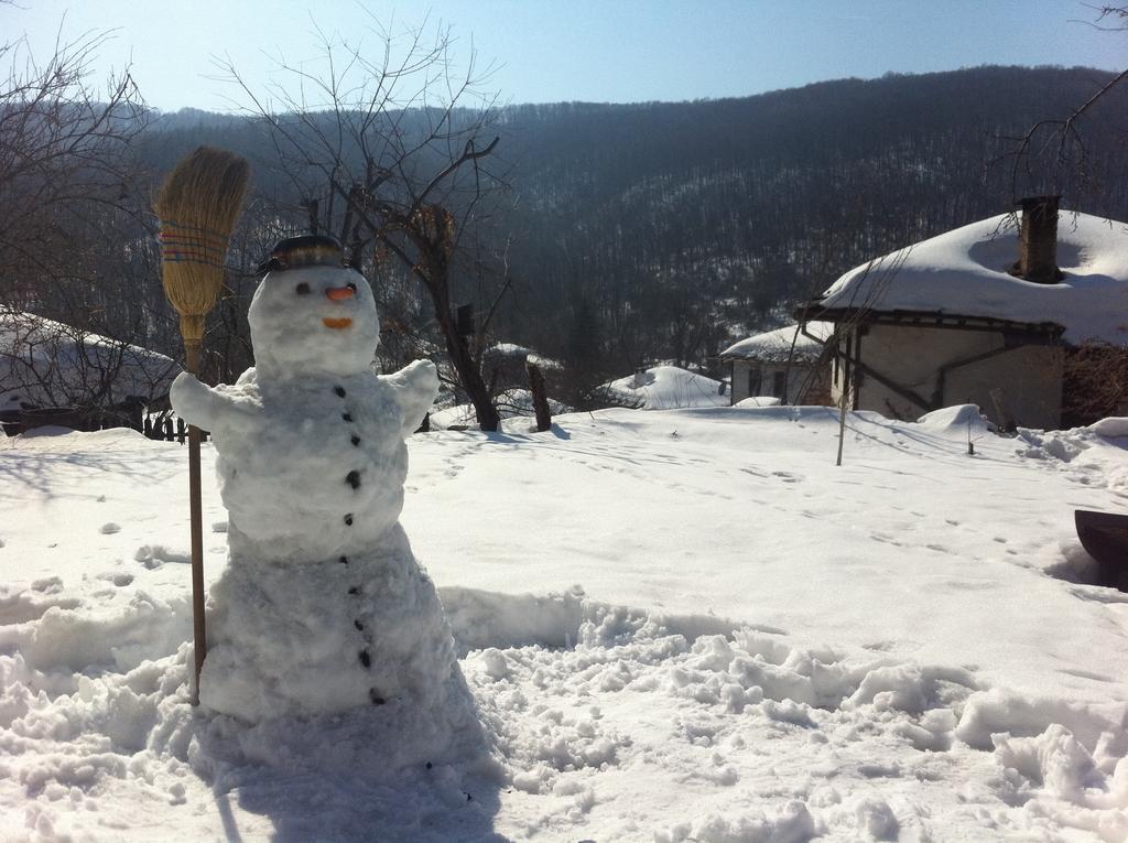 Stefanina Guesthouse Bozsenci Kültér fotó
