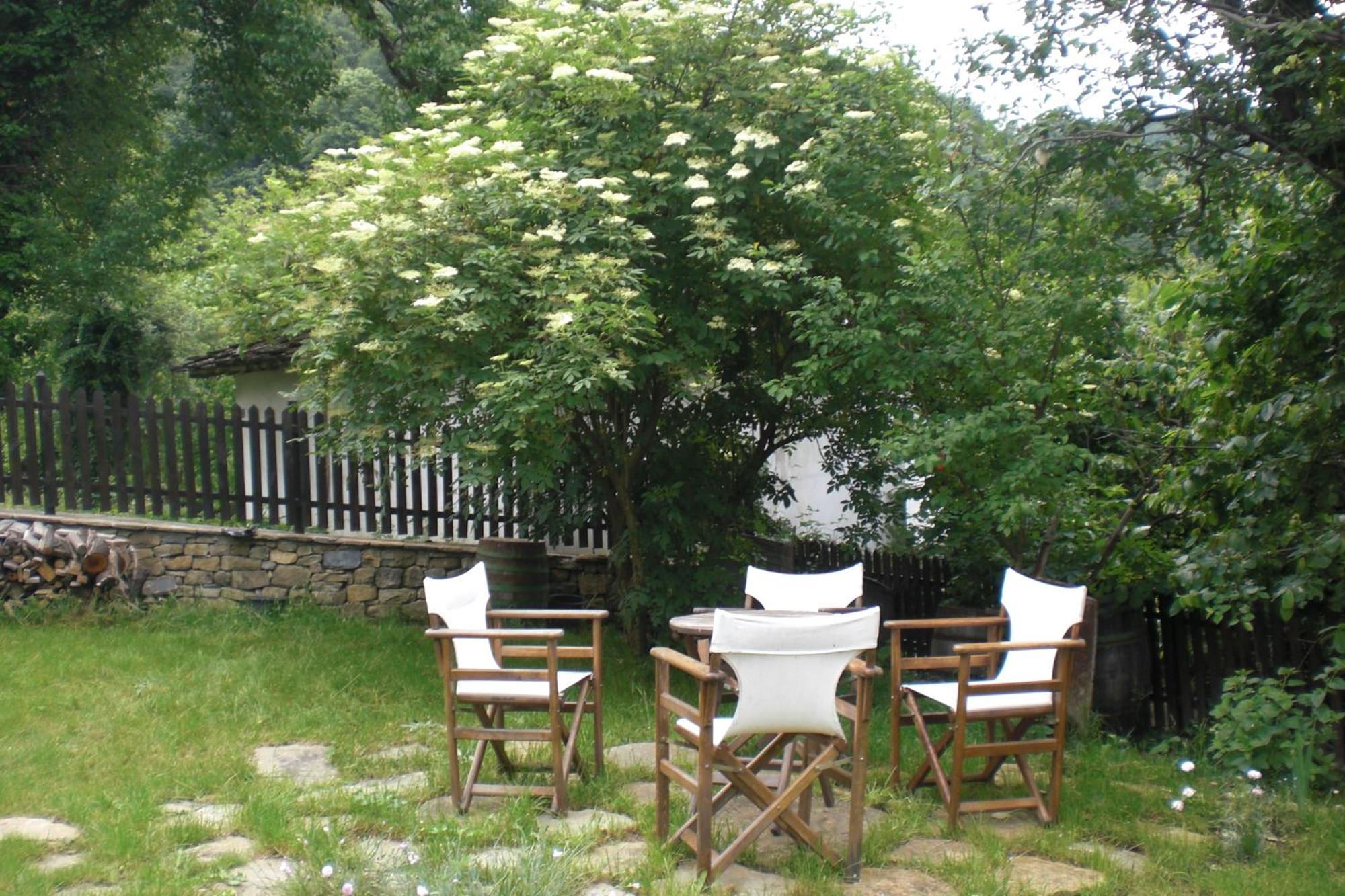 Stefanina Guesthouse Bozsenci Kültér fotó