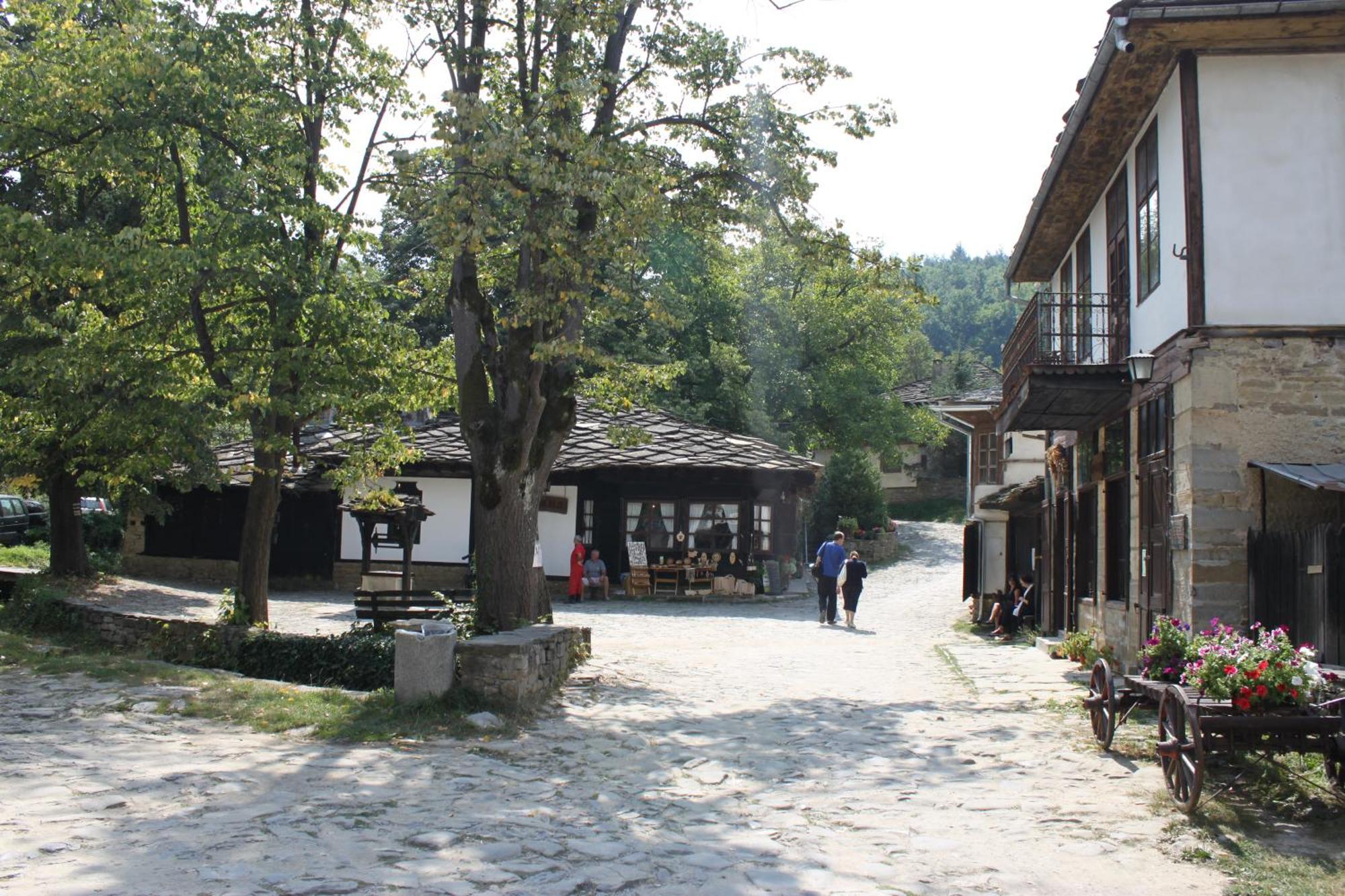 Stefanina Guesthouse Bozsenci Kültér fotó
