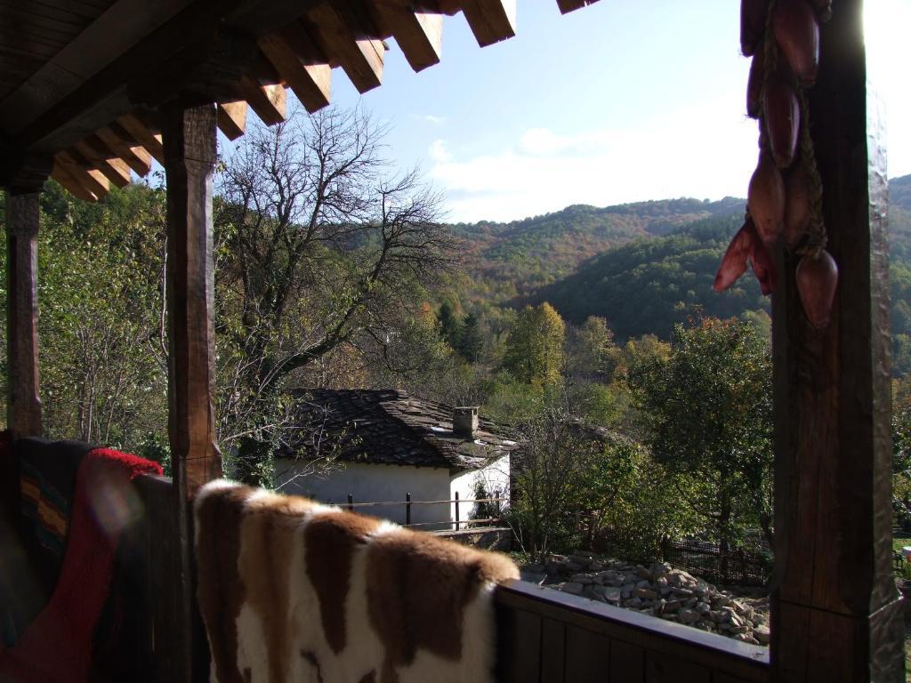 Stefanina Guesthouse Bozsenci Kültér fotó