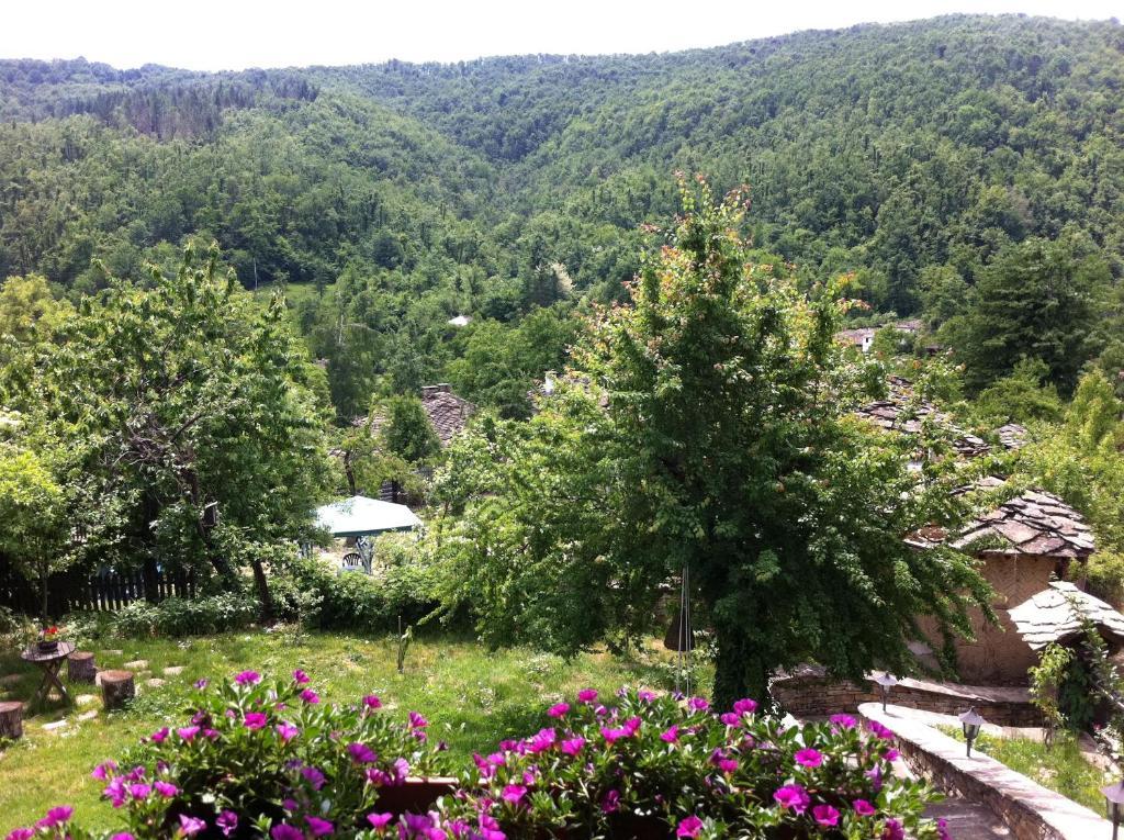 Stefanina Guesthouse Bozsenci Kültér fotó