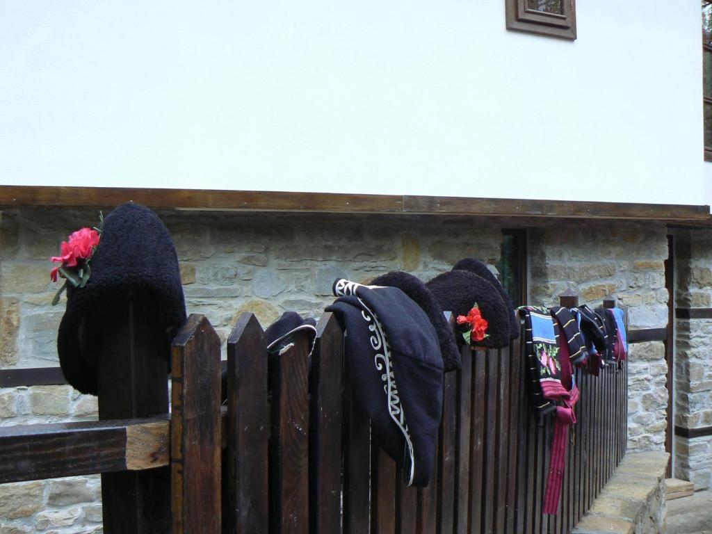 Stefanina Guesthouse Bozsenci Kültér fotó