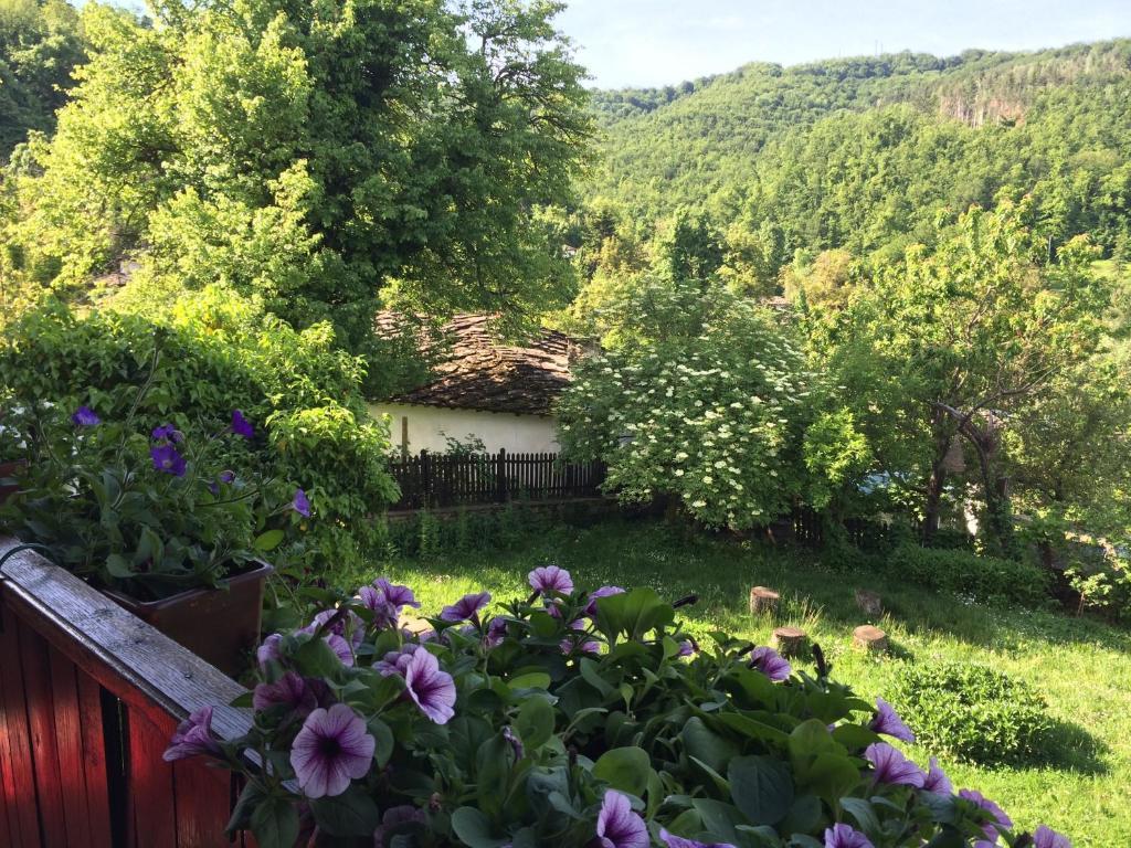 Stefanina Guesthouse Bozsenci Kültér fotó